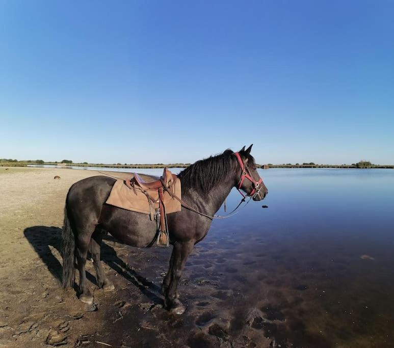Gite A Saint Andre Des Eaux Екстериор снимка