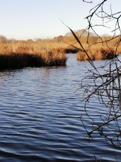 Gite A Saint Andre Des Eaux Екстериор снимка