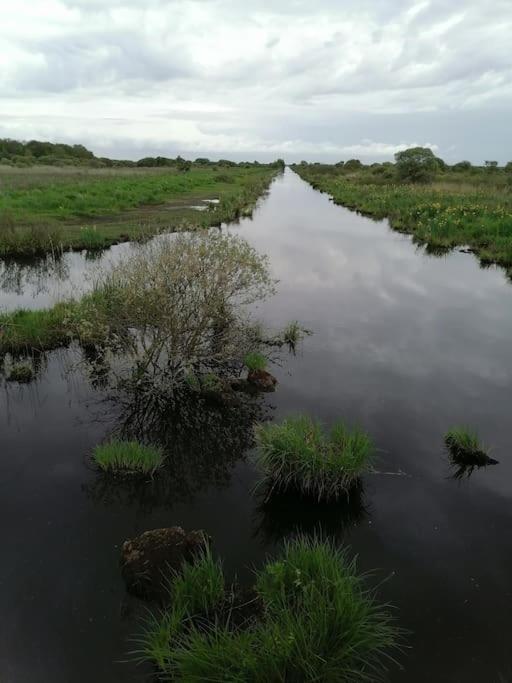 Gite A Saint Andre Des Eaux Екстериор снимка